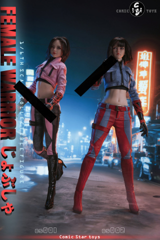 Sister Female Warrior от Comic Star Toys