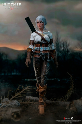 Ciri от PureArts