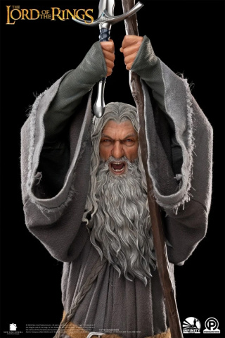 Gandalf the Grey от Infinity Studio