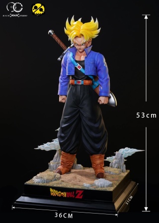 Trunks от Rich man Studio