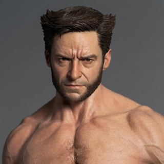 WOLVERINE от IMAGE Studio